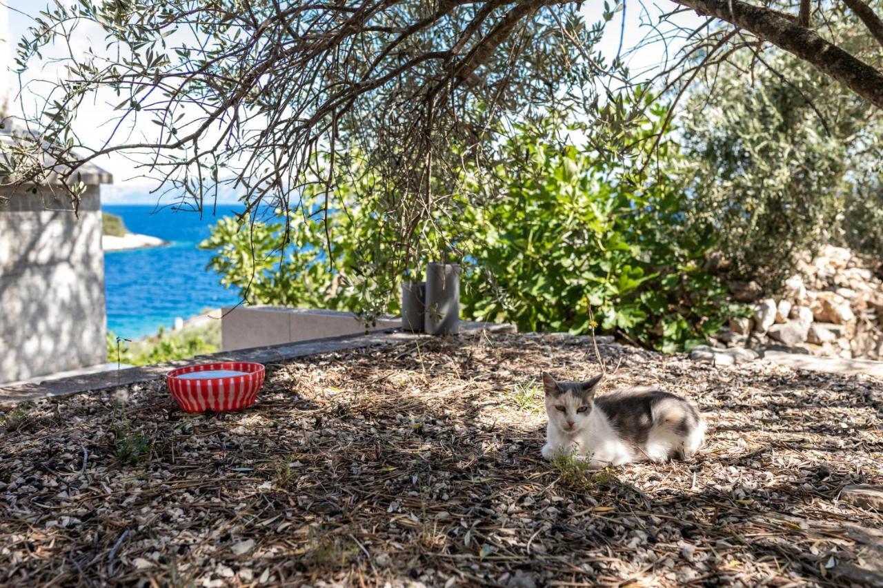 Olive'S Garden House Villa Vela Luka Exterior photo